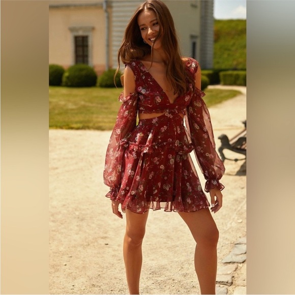 Alamour the Label Annabell Cutout Floral Sheer Floaty Mini Dress - Picture 6 of 16